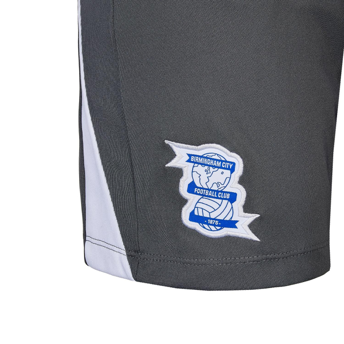 25/26 Junior Training Shorts