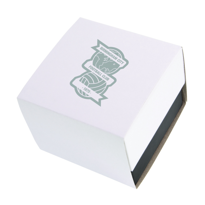 Stainless Steel KRO Stripe Watch
