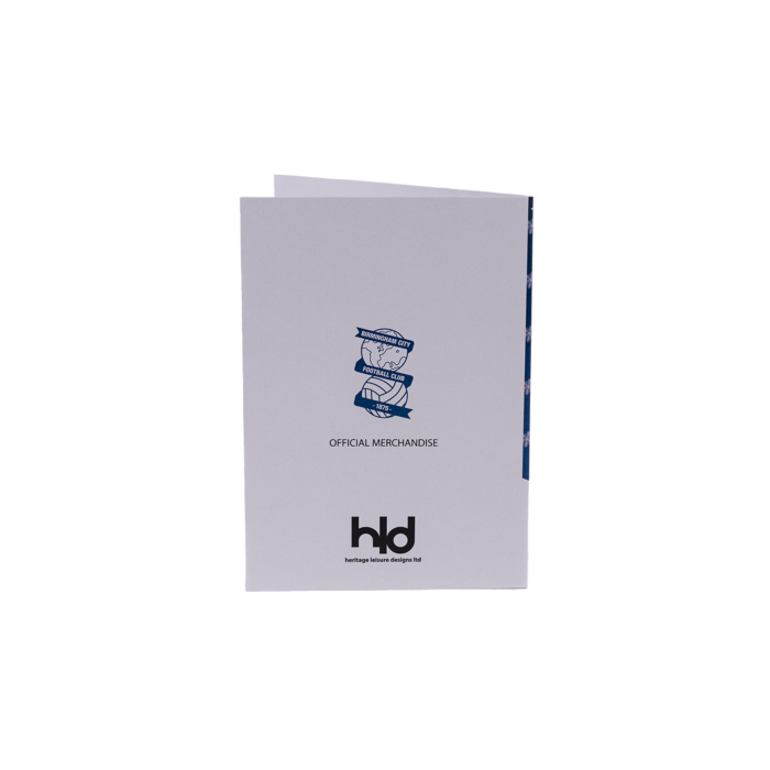 Holly 10 Pack Christmas Card