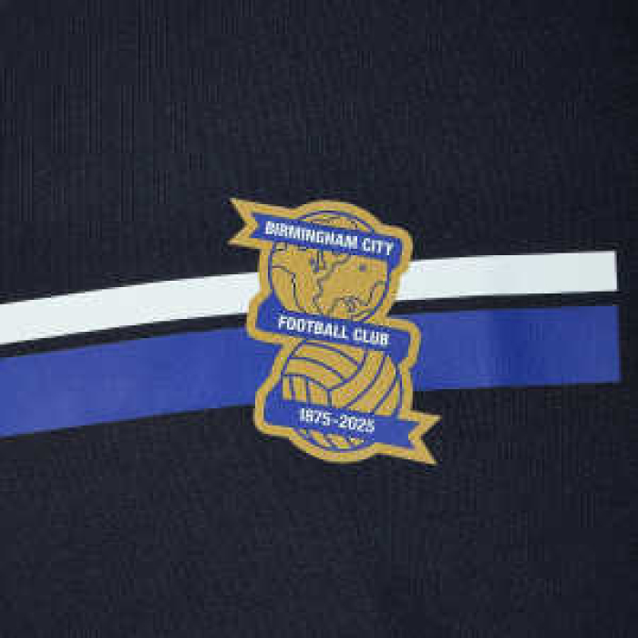 Gold Crest Stripe T-Shirt