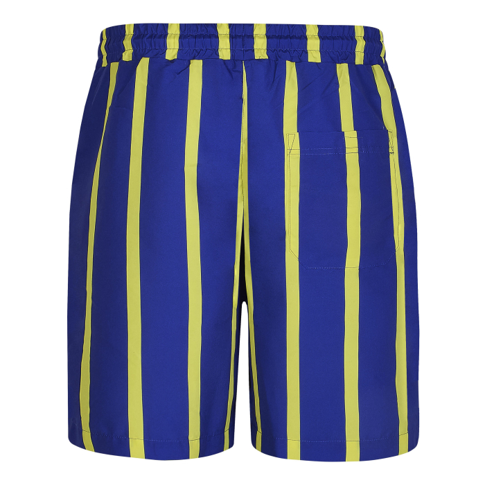 Retro Striped Swim Shorts