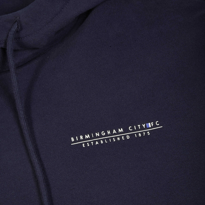 Signature Stripe Hoody