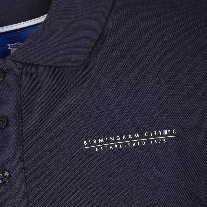 Signature Stripe Polo