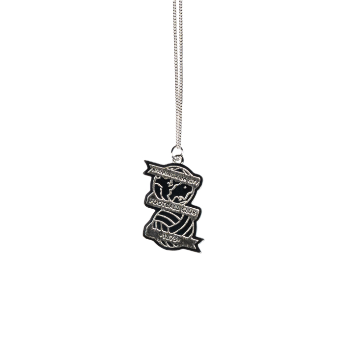 Sterling Silver Crest and Chain