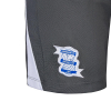 25/26 Junior Training Shorts