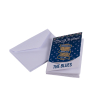 Holly 10 Pack Christmas Card