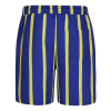Retro Striped Swim Shorts