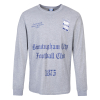 UNDEFEATED Long Sleeve T-shirt Grey