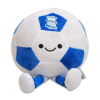 BCFC Football Plush