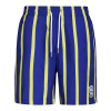 Retro Striped Swim Shorts