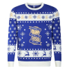 Junior Gold Crest Christmas Jumper