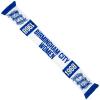 25/26 BCWFC Scarf