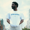 Who Who Who T-Shirt