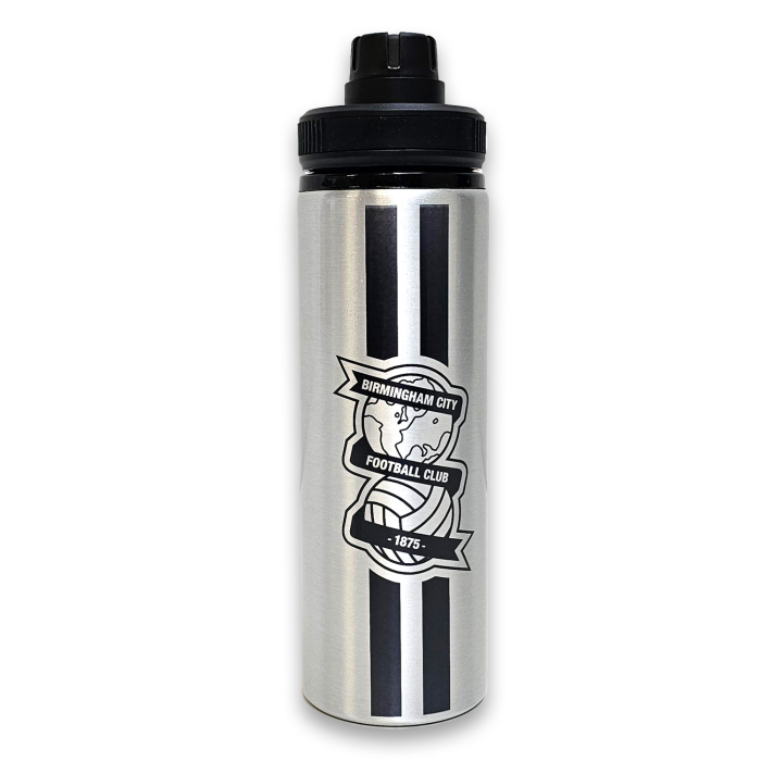 Handled Bottle Silver 850ml