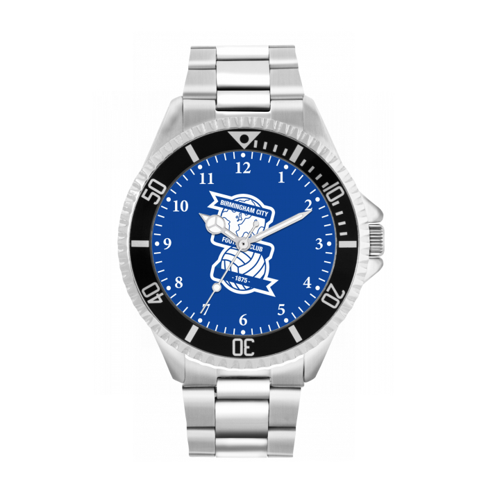 Mens Stainless Steel Royal Face Watch