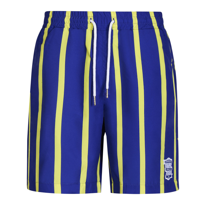 Retro Striped Swim Shorts