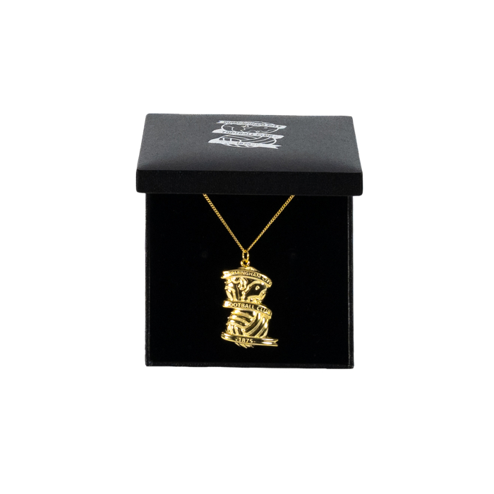 18ct Gold Plated Domed Crest and Chain