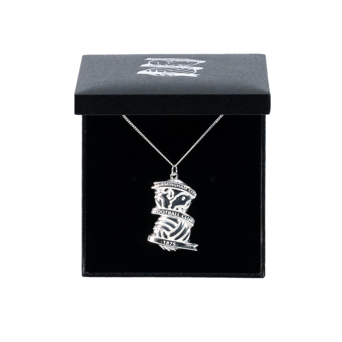 Sterling Silver Domed Crest and Chain